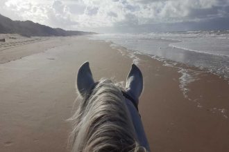 Kurztrip Andalusien - reiten am Strand